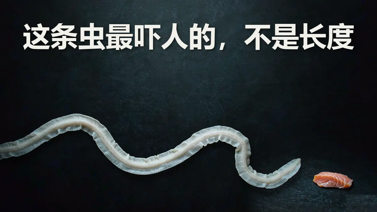 cover-16x9-worm-02-final
